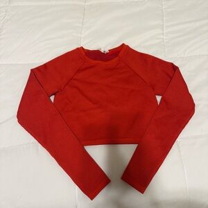 Aerie Long Sleeve Cropped Workout Top